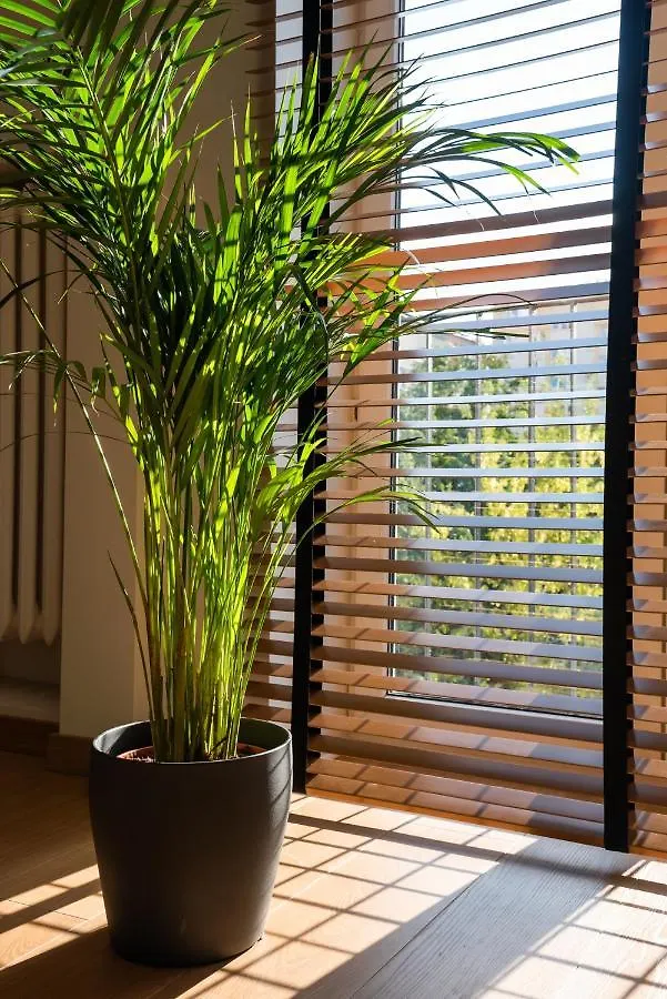 Palace Of Culture Loft Apartment Warsaw 0*,  Poland